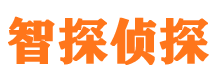 扎囊外遇调查取证